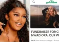 “People wey no chop belle full” – Reactions as Ceec’s fans open GoFundMe account after losing BBN’s N120M prize