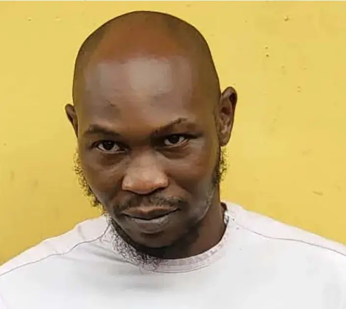 ‘My father’s death was an impactful experience for me’ – Seun Kuti