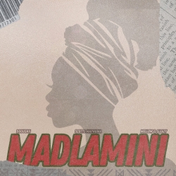 DoouShii - MaDlamini ft Scotts Maphuma, Mellow & Sleazy