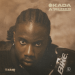 ALBUM: Tar1Q - Okada Airlines (EP)