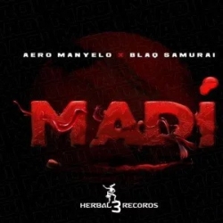 Aero Manyelo Madi Ft Blaq Samurai