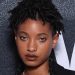 Willow Smith Biography, Net Worth & Age