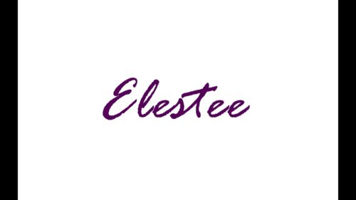 Elestee – Elestee - Liar Liar (Lyric Video)