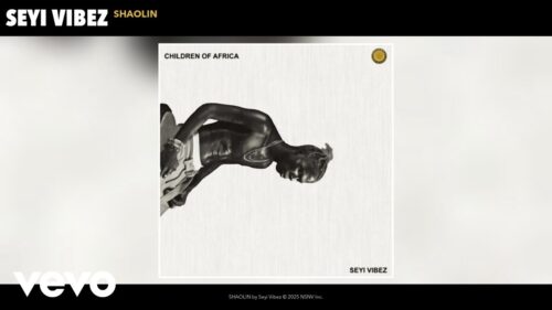 Seyi Vibez – SHAOLIN