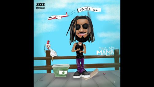 Sparkle Tee – Tell My Mama