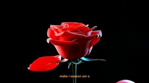 CKay – permit me