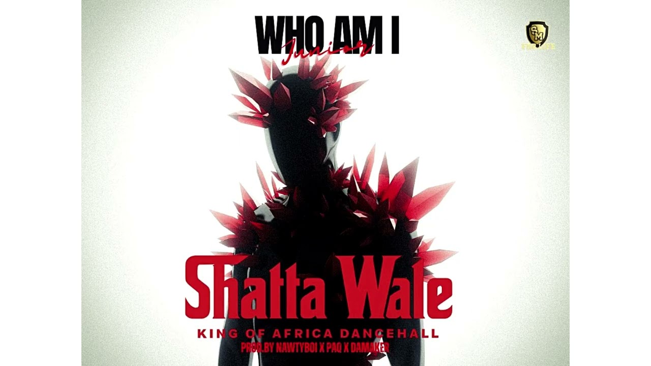 Shatta Wale – Who Am I