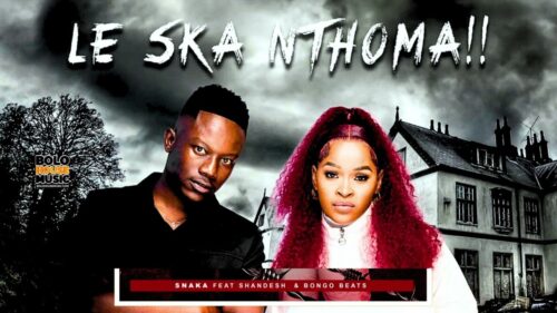 Le Ska Nthoma – Snaka